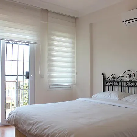 Daisy Villa