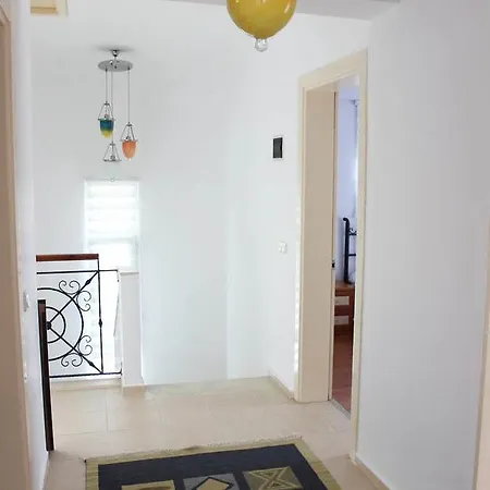 Daisy Villa