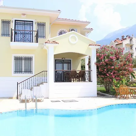 Daisy Villa *
